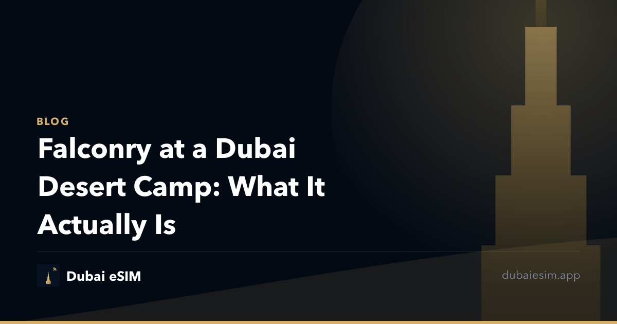 Falconry at a Dubai Desert Camp: What It Actually Is