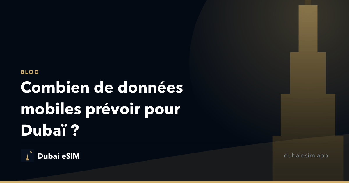 Combien de données mobiles prévoir pour Dubaï ?