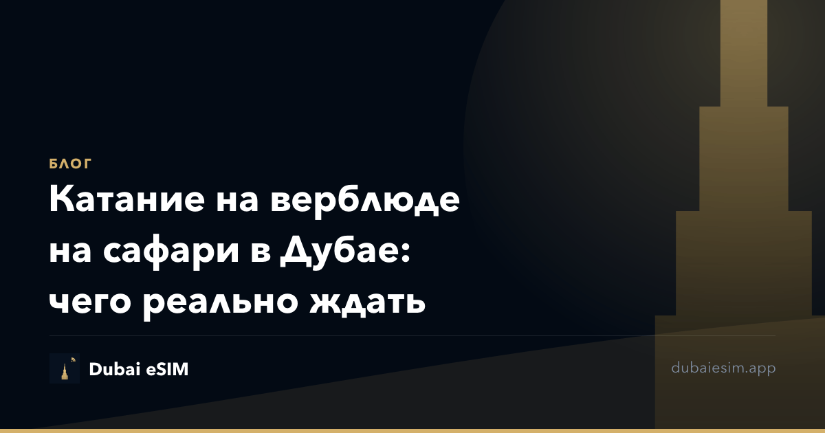 Катание на верблюде на сафари в Дубае: чего реально ждать